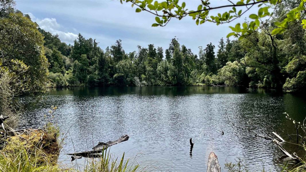 Lake Wombat Walk
