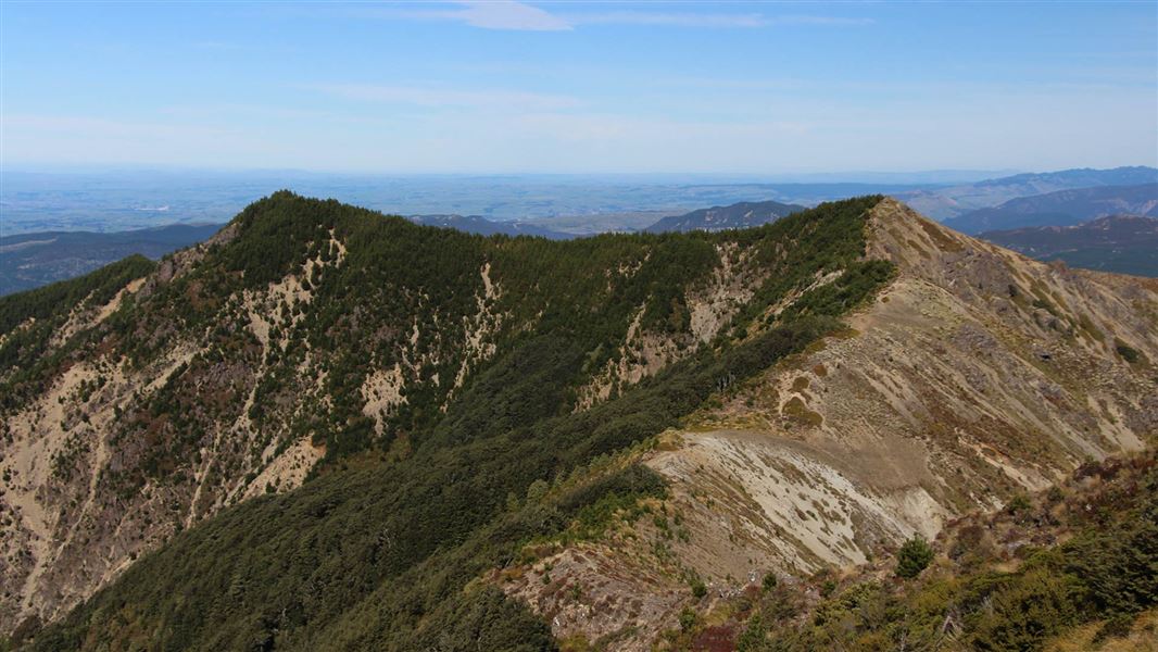 Lakes Carpark Loop – Rogue Ridge/Cooks Horn