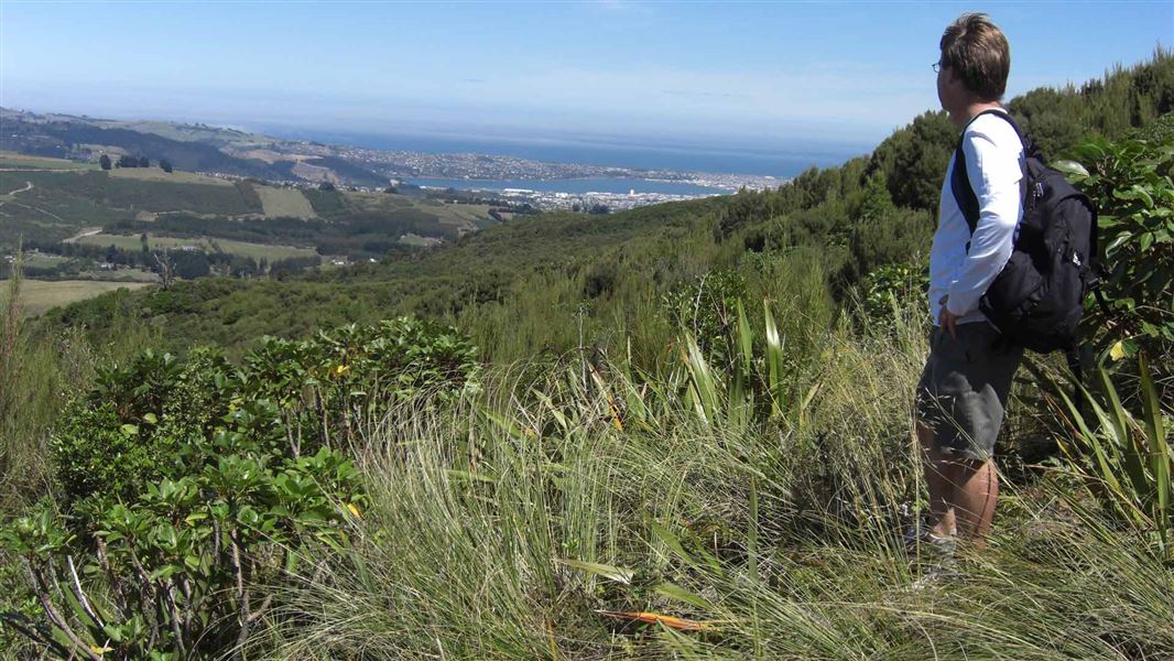 Leith Saddle Track
