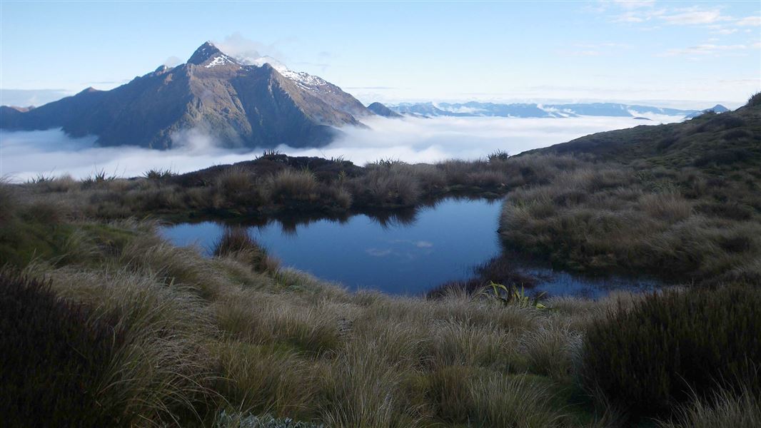 Leslie-Karamea Track