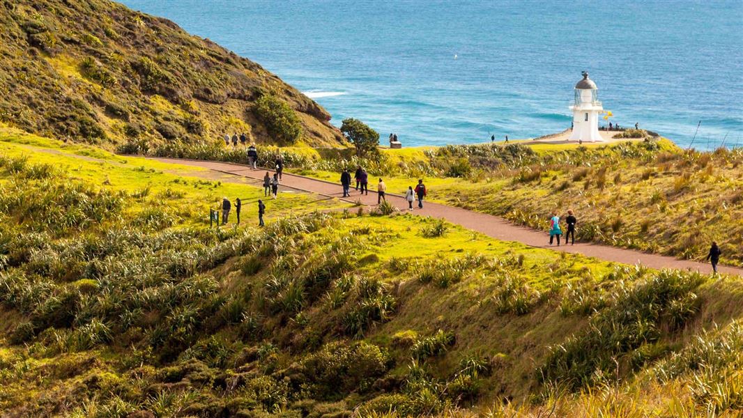 Cape Reinga/Te Rerenga Wairua Lighthouse Walk