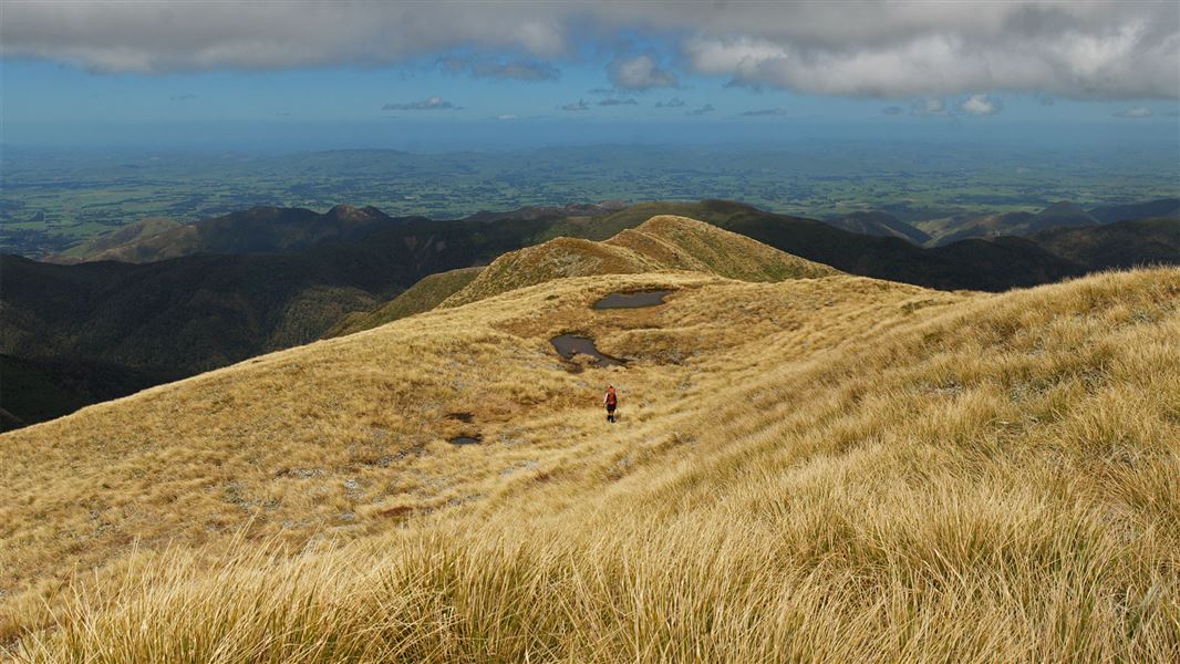 Limestone Road to Pohangina Valley East Road