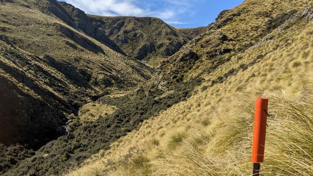 Little Kyeburn Track