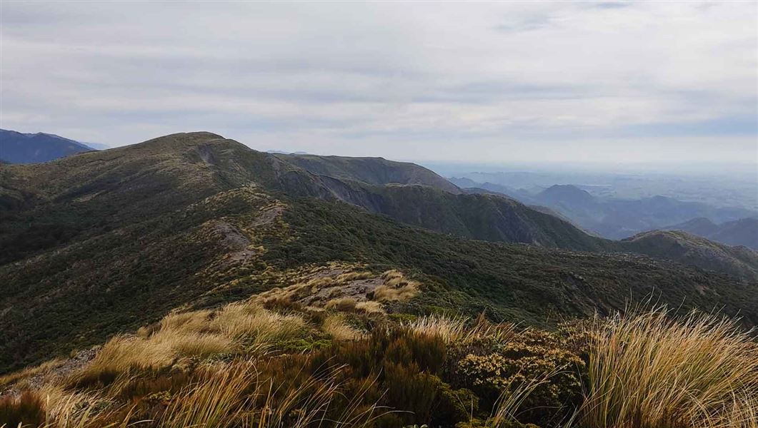 Longview Hut to Mākāretu Hut Track