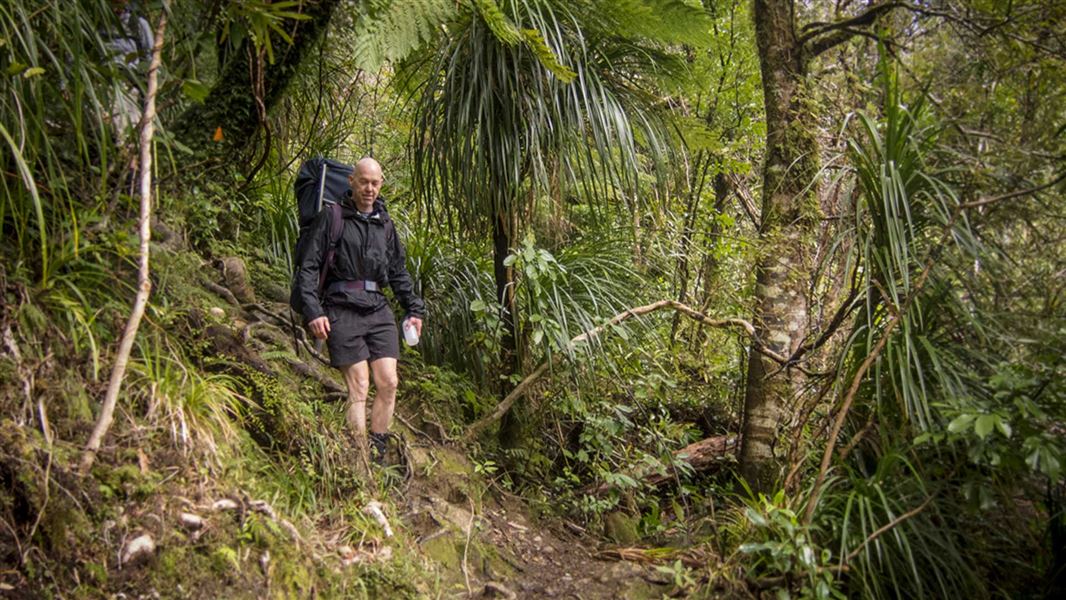 Lower Waiohine Track