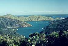 Lucky Bay Campsite, campsite in Marlborough