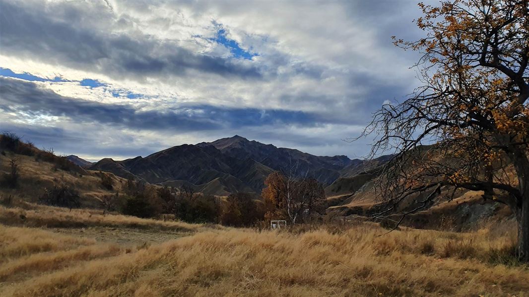 Macetown Campsite, campsite in Otago