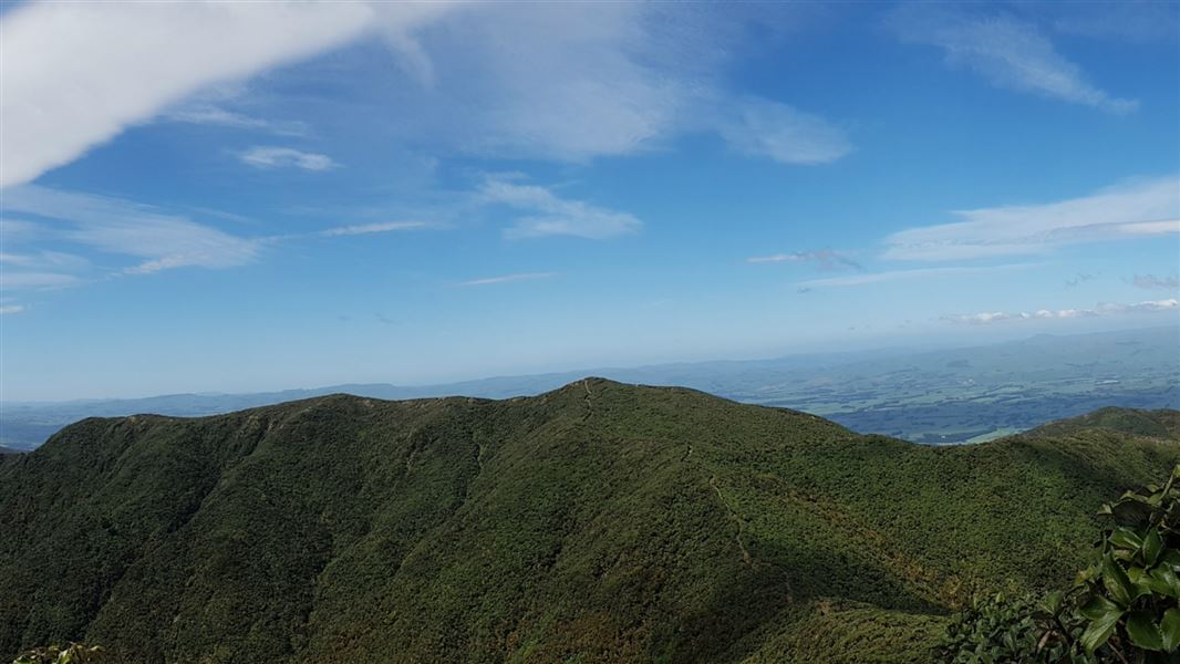 Maharahara Peak Track
