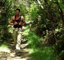 Mahia Peninsula Scenic Reserve Track, walk in Hawke's Bay
