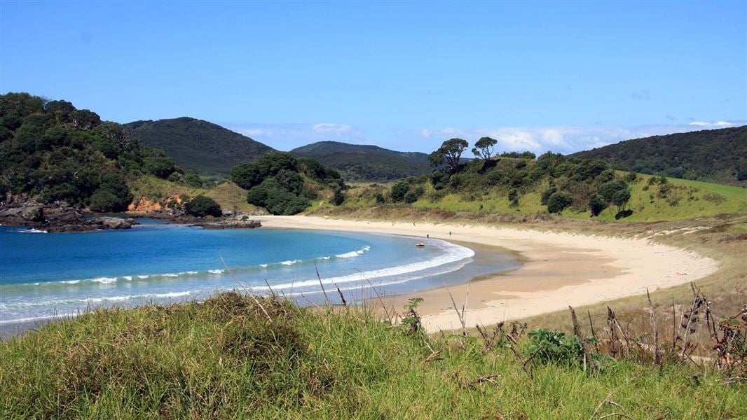 Maitai Bay Headland Track, walk in Northland