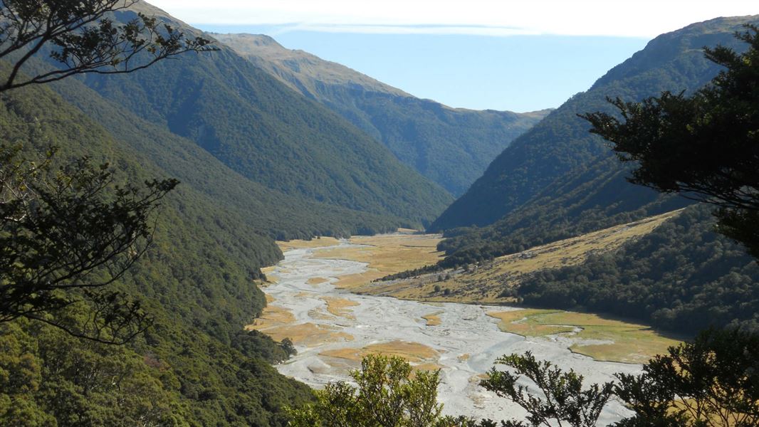 Makarora Track