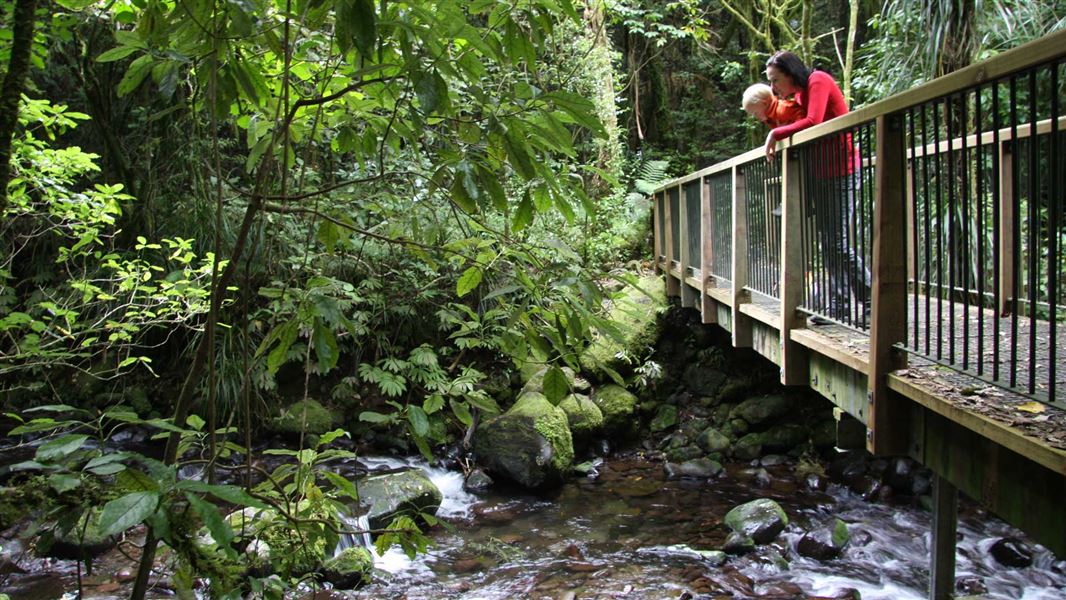Mangakara Nature Walk
