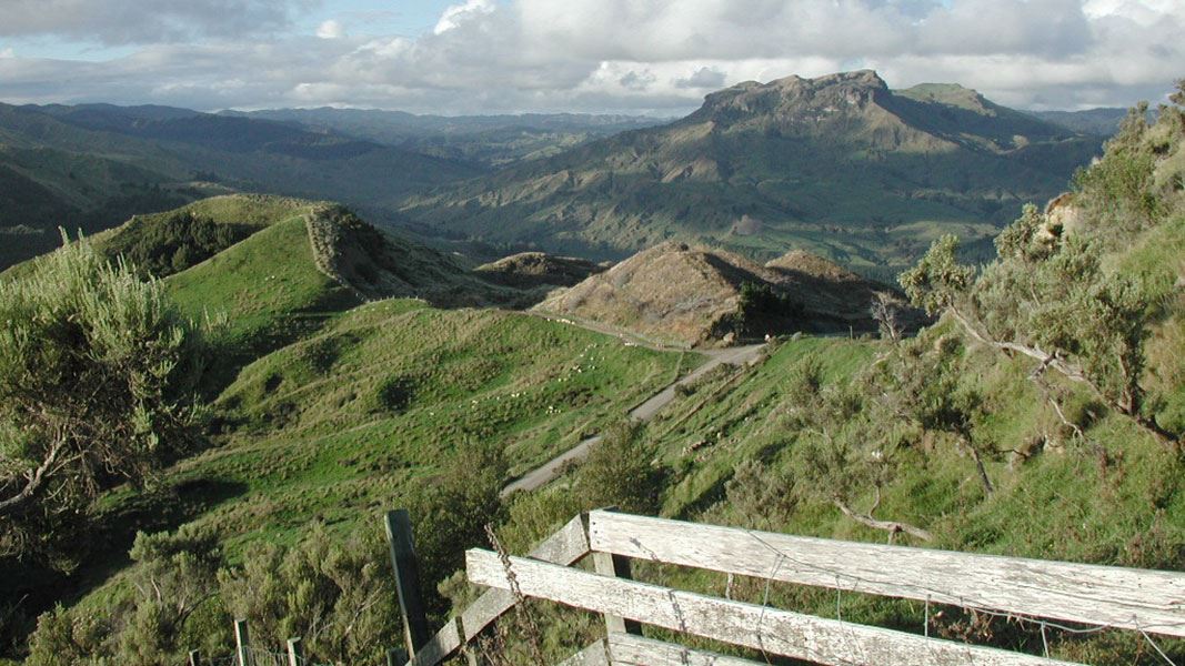 Mangaone Caves Track