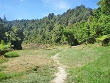 Mangapapa Campsite, campsite in Manawatū-Whanganui