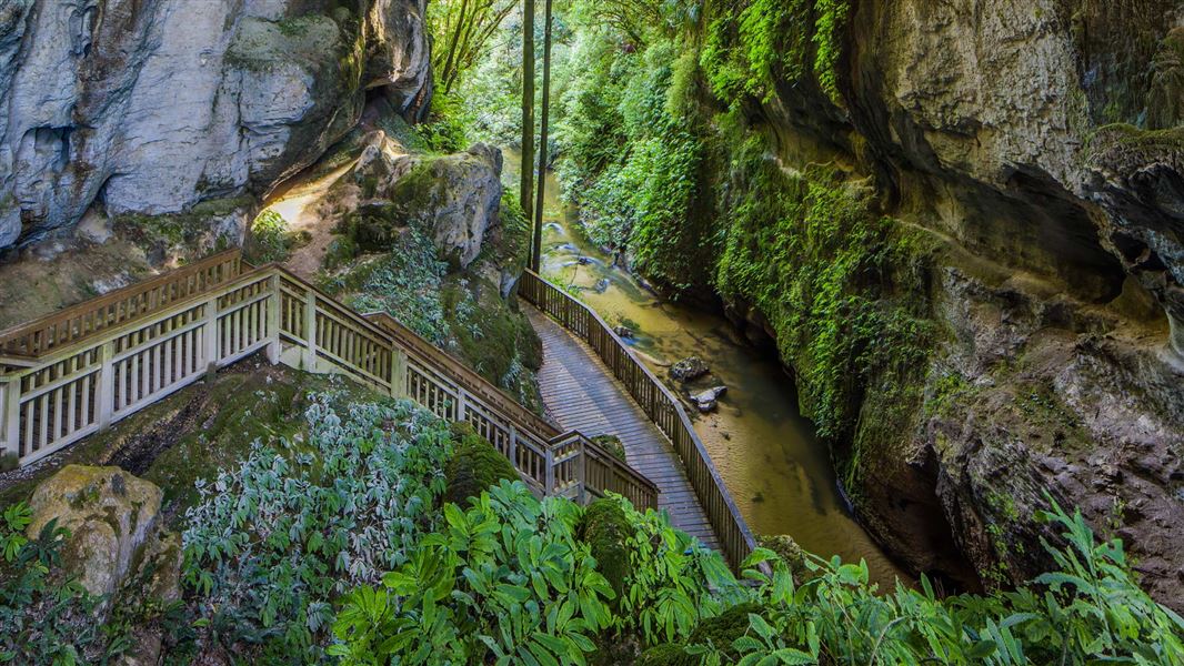 Mangapohue Natural Bridge Walk, walk in Waikato