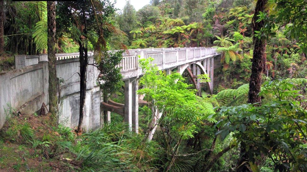 Mangapurua/Kaiwhakauka Track
