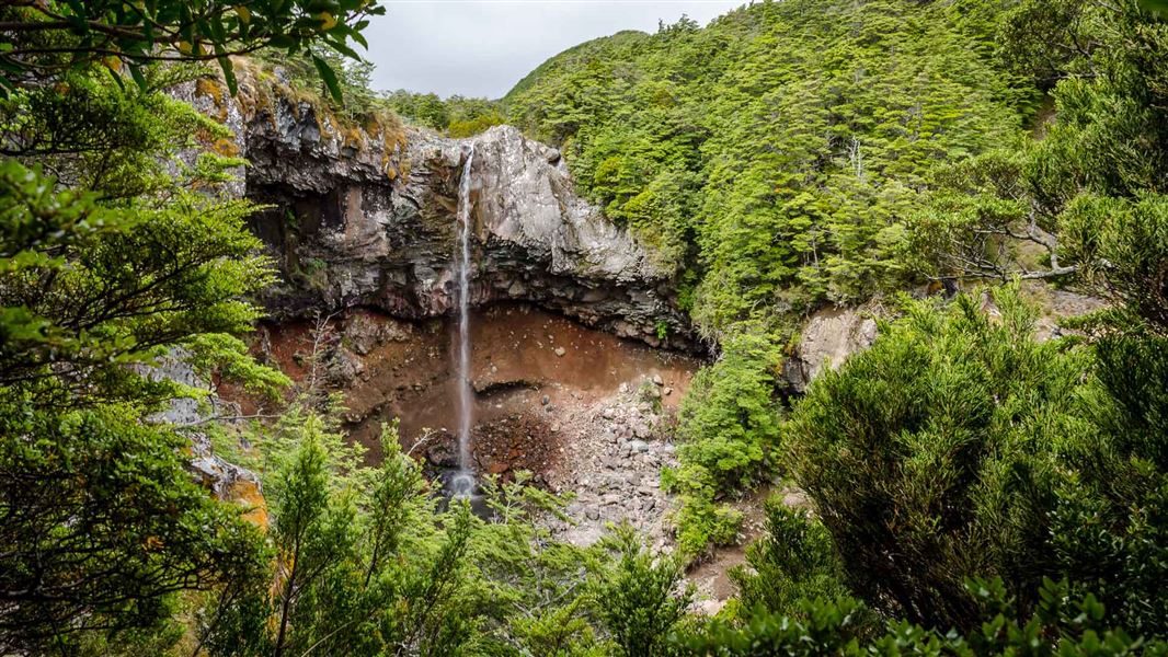 Mangawhero Falls Walk