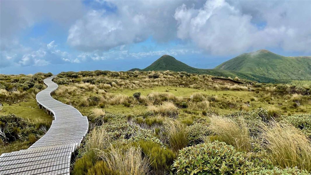Mangorei Track to Pouākai tarns