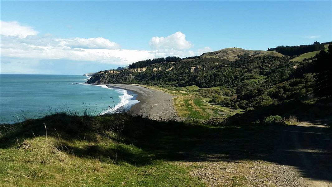 Manuka Bay Lookout Track, walk in Canterbury