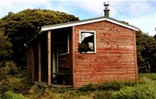 Manuoha Hut, hut in Hawke's Bay