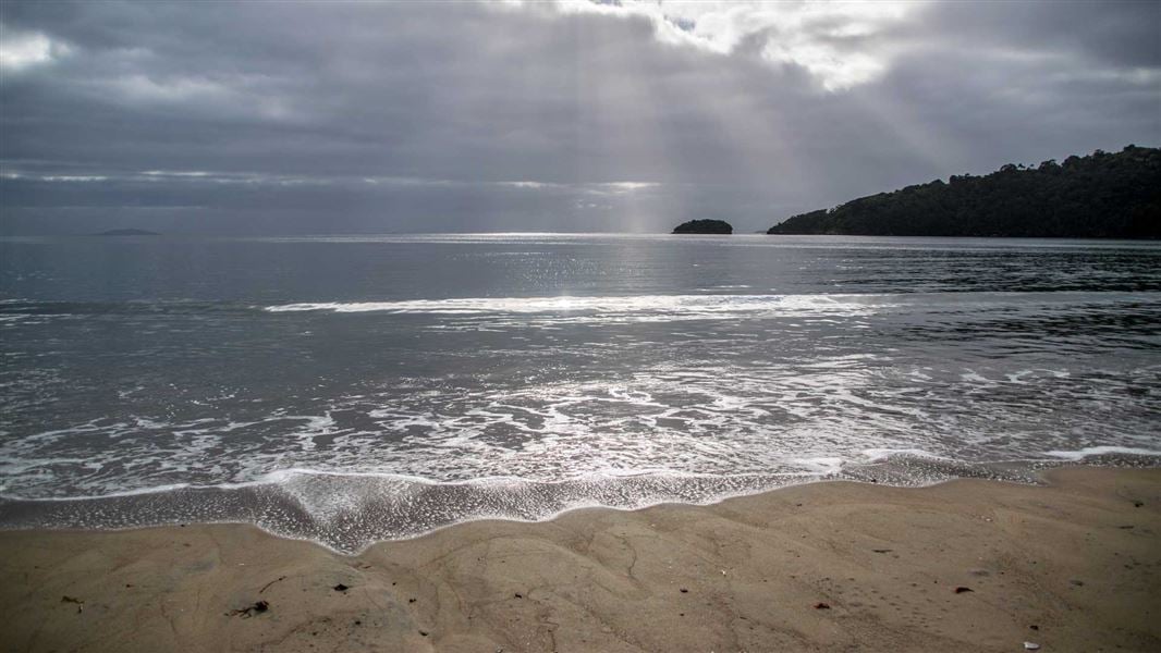 Māori Beach Campsite, campsite in Southland