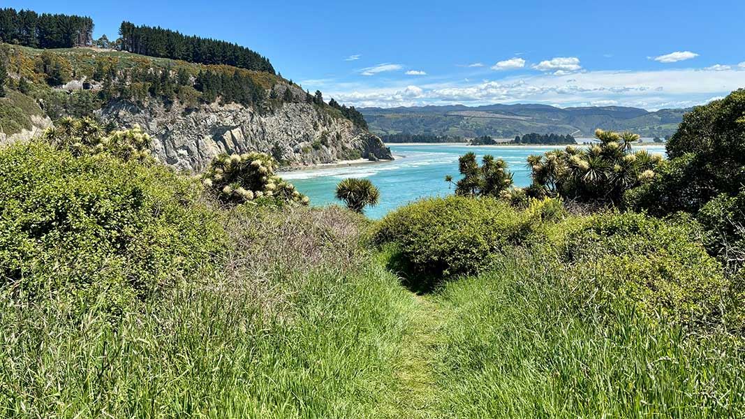 Mapoutahi Track