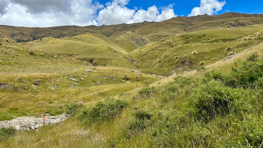 March Creek Track