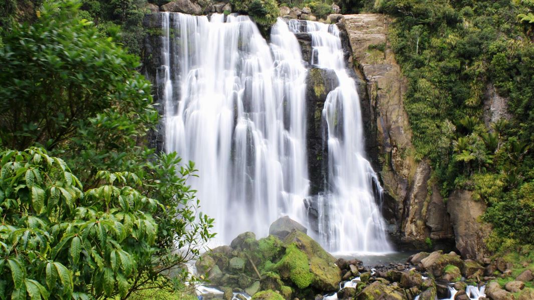 Marokopa Falls Walk