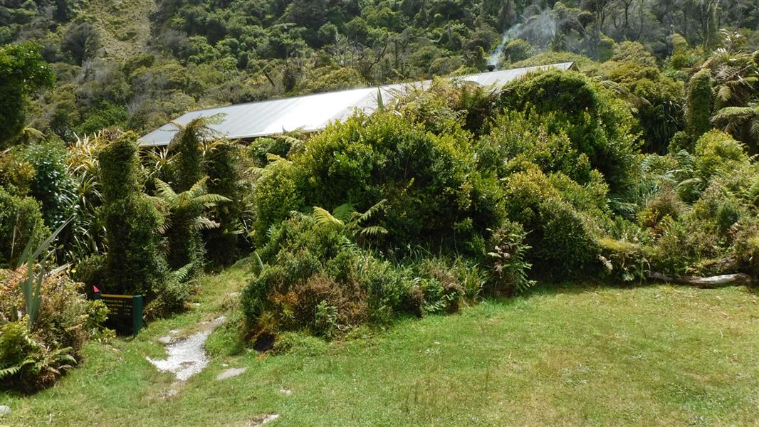Martins Bay Hut, hut in Southland