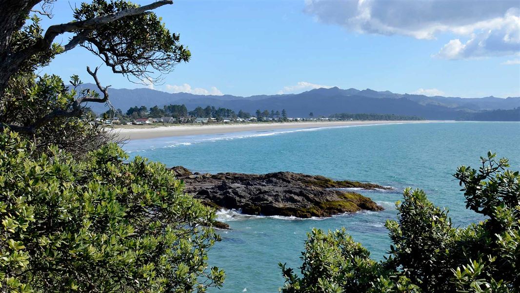 Matarangi Bluff Track