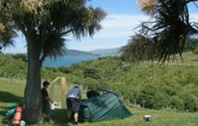 Matiu/somes Island Campsite, campsite in Wellington