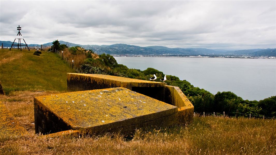 Matiu/Somes Island gun emplacements track