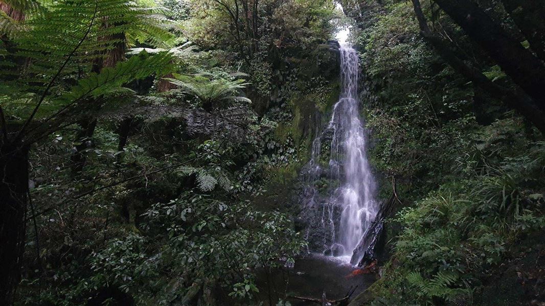 Maude Track to Mangakotukutuku Falls