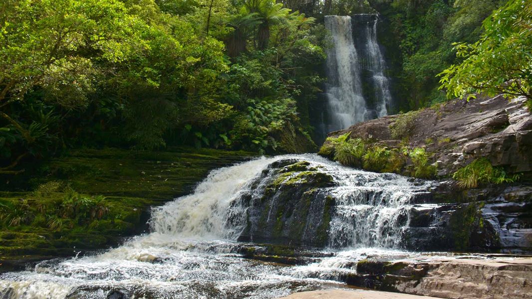 McLean Falls Walk
