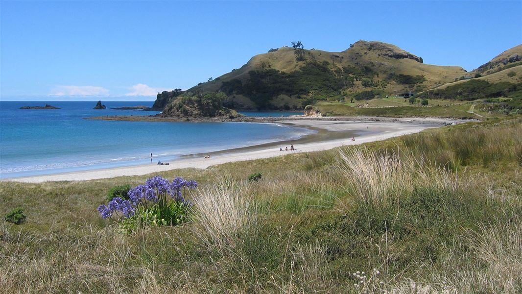 Medlands Beach Campsite, campsite in Auckland