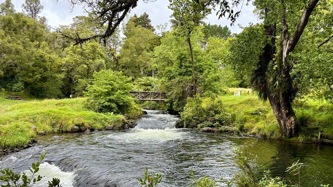 Meeting of the Waters Scenic Reserve walks