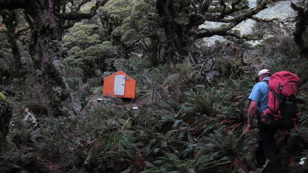 Mid King Bivvy, hut in Wellington