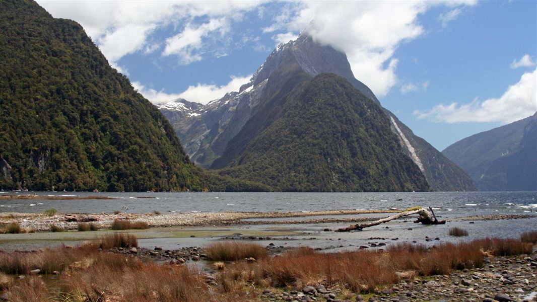 Milford Foreshore Walk, walk in Southland