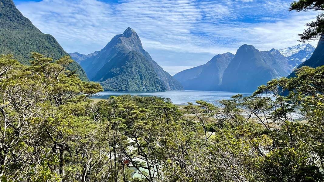 Milford Sound Lookout Track
