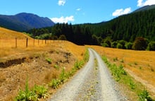 Mill Flat Campsite, campsite in Marlborough