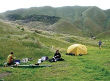 Moawhitu Campsite, campsite in Marlborough