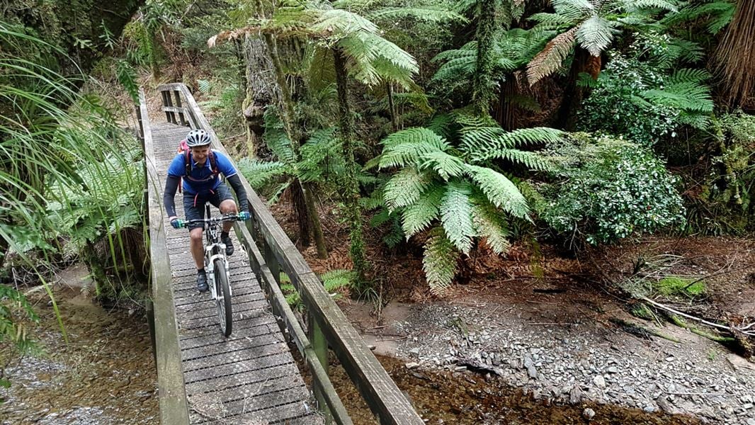 Moerangi Track