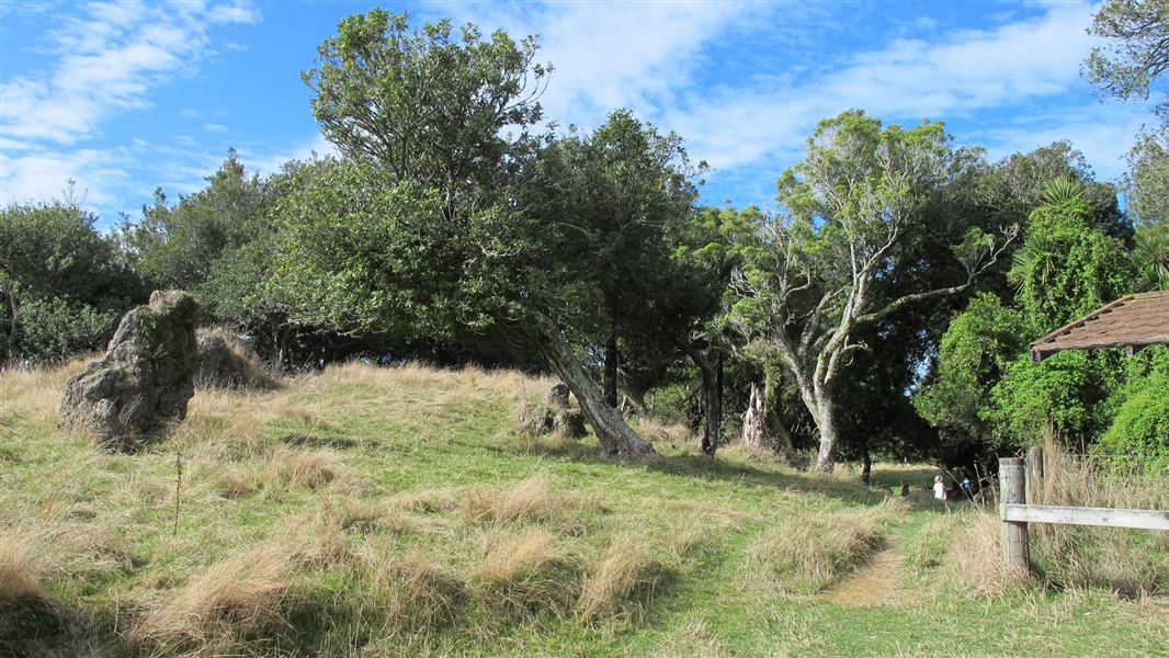 Mohi Bush Track