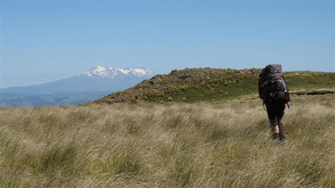 Mokai Road End to Otukota Hut, walk in Manawatū-Whanganui