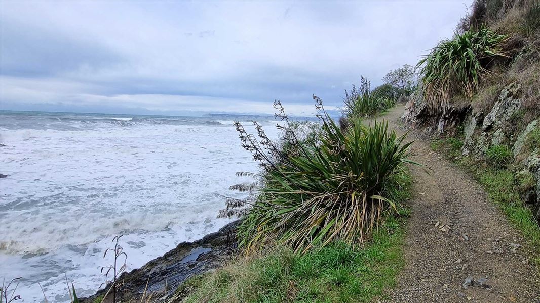 Monkey Bay Walk