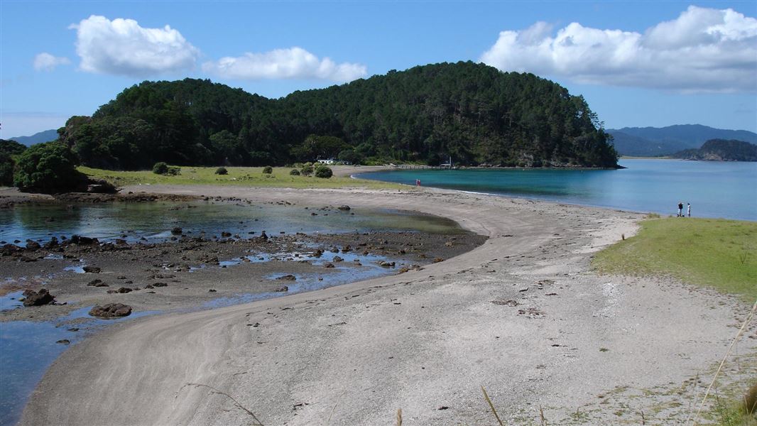 Motuarohia (Roberton) Island Track