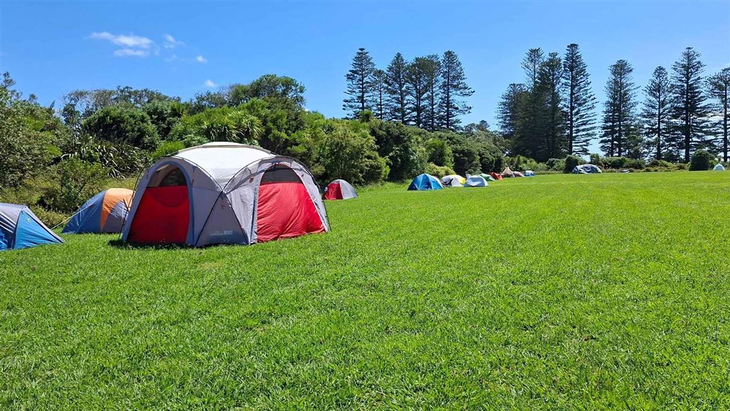 Motuihe Island Campsite, campsite in Auckland