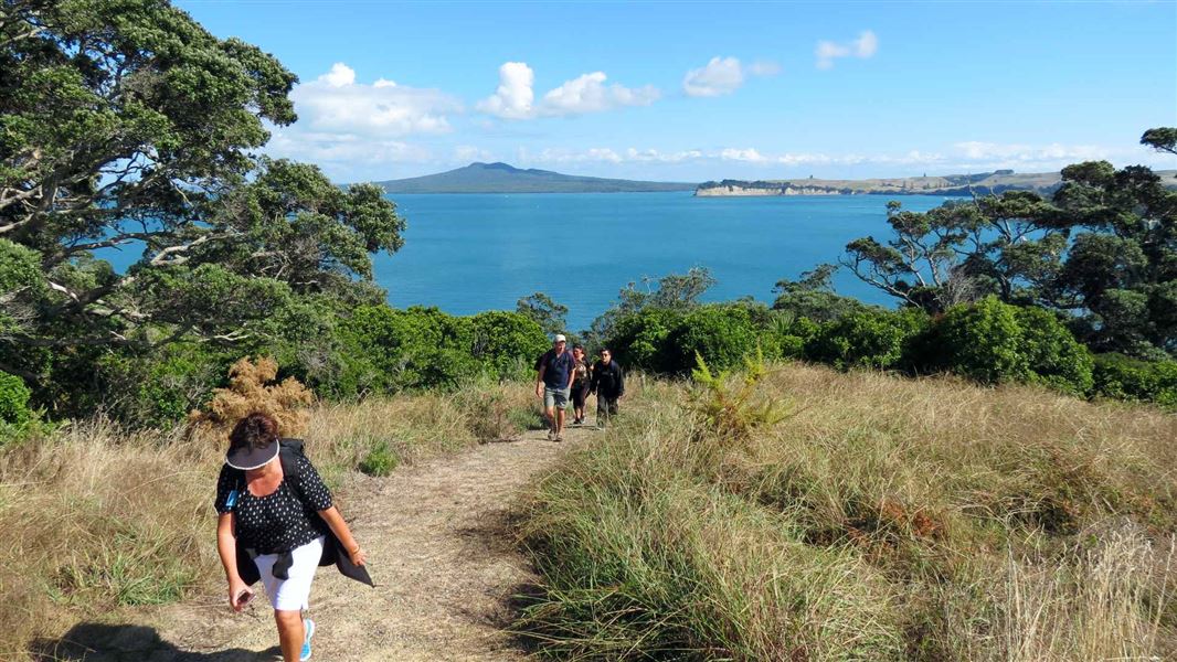 Motuihe Island tracks