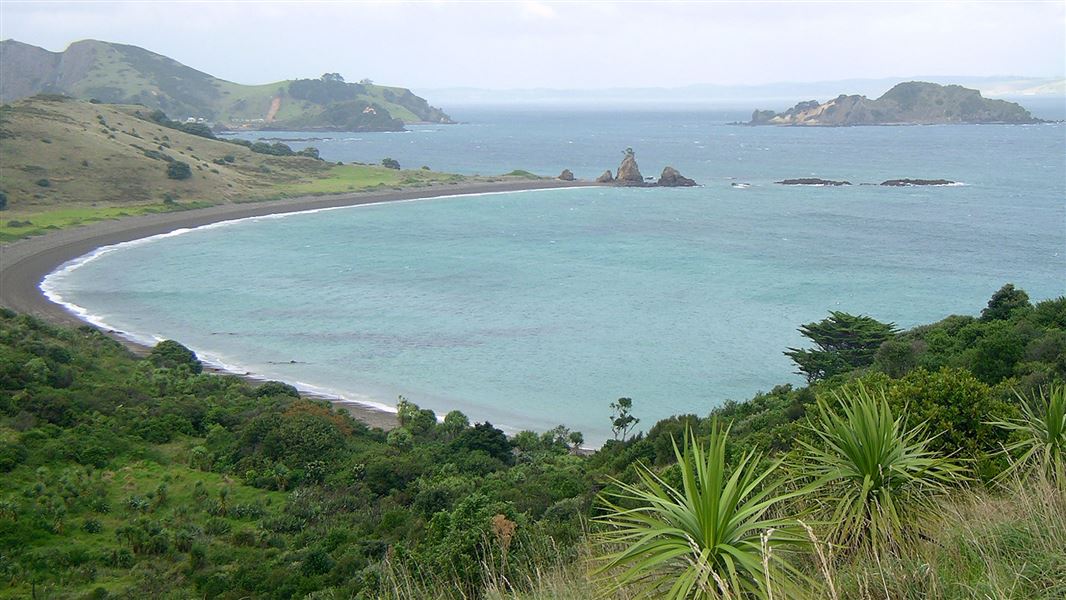 Motukawanui Island Track, walk in Northland