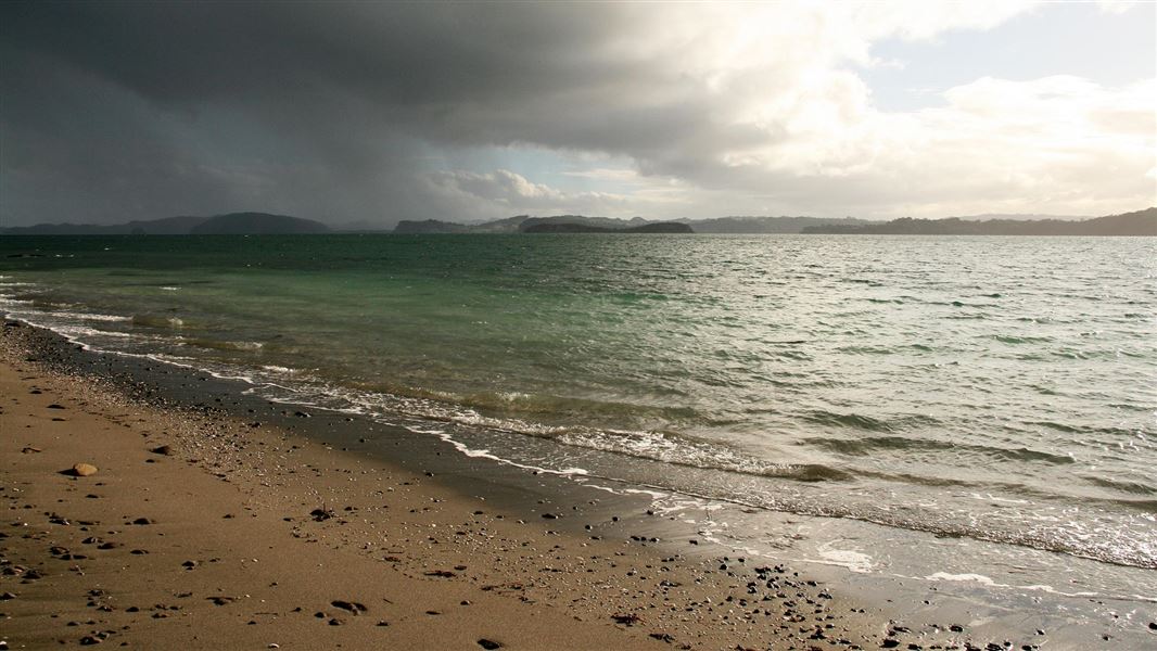 Motuora Island walks